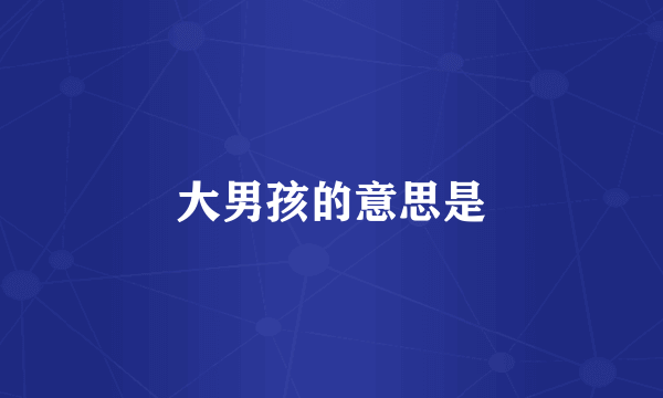 大男孩的意思是