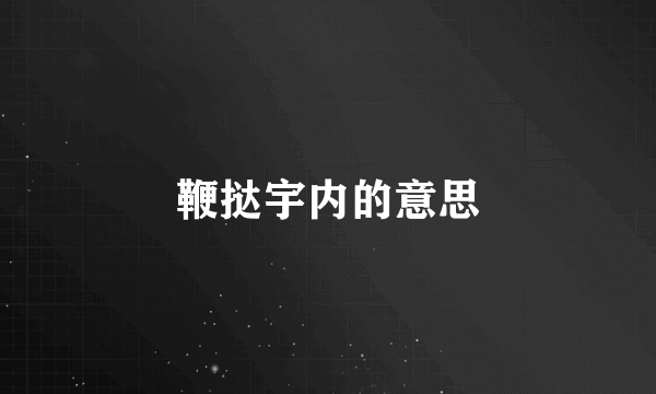 鞭挞宇内的意思