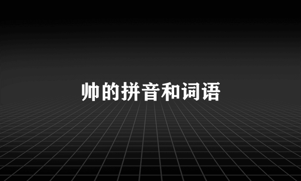 帅的拼音和词语