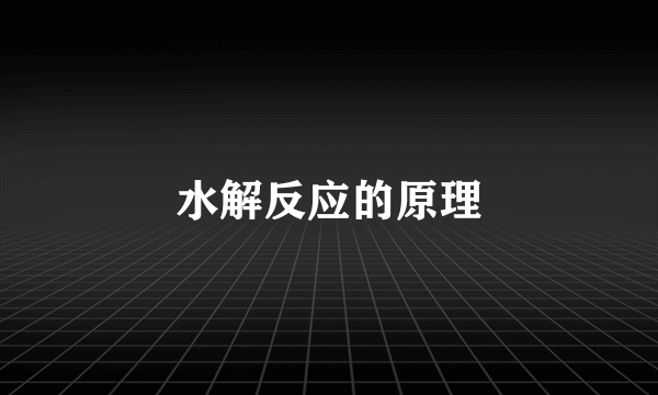 水解反应的原理