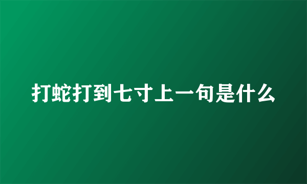 打蛇打到七寸上一句是什么