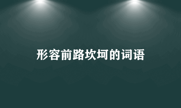 形容前路坎坷的词语