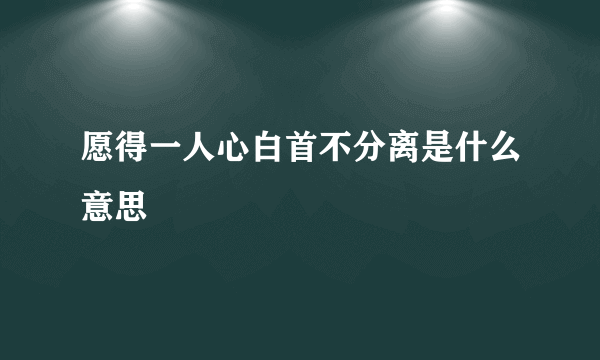 愿得一人心白首不分离是什么意思