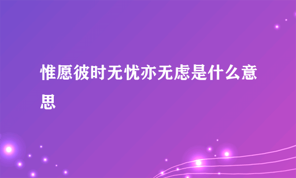 惟愿彼时无忧亦无虑是什么意思