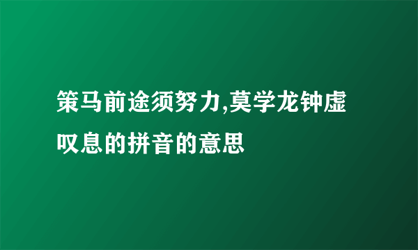 策马前途须努力,莫学龙钟虚叹息的拼音的意思