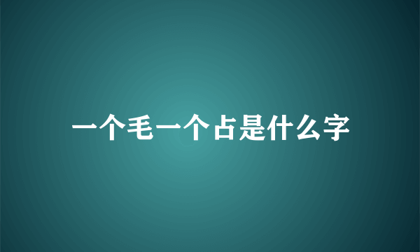 一个毛一个占是什么字