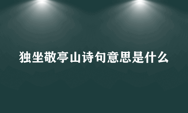 独坐敬亭山诗句意思是什么
