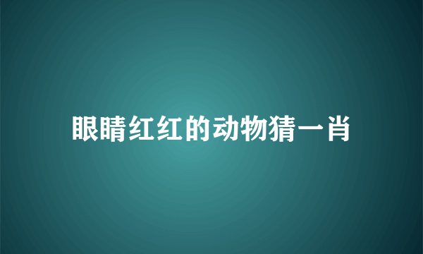 眼睛红红的动物猜一肖