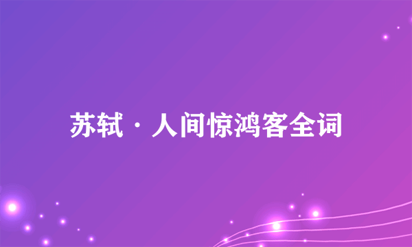 苏轼·人间惊鸿客全词