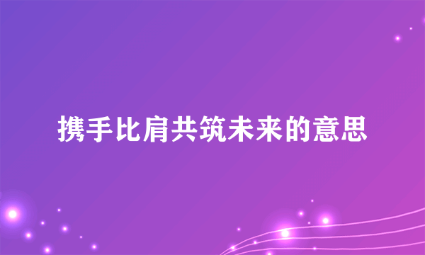 携手比肩共筑未来的意思