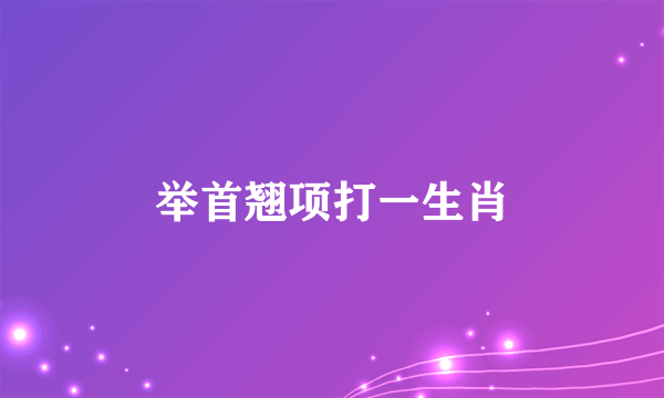 举首翘项打一生肖