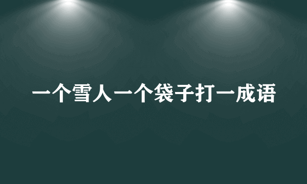一个雪人一个袋子打一成语