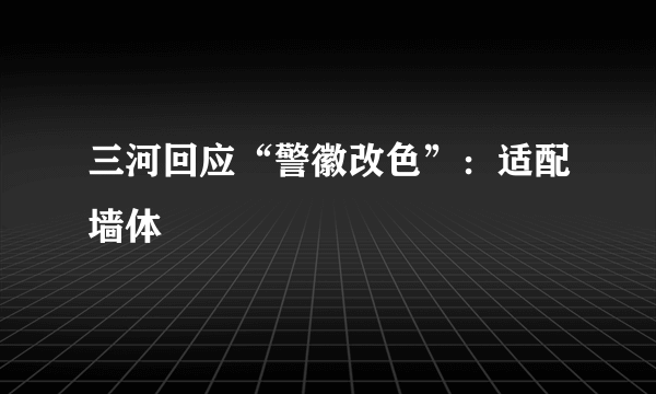 三河回应“警徽改色”：适配墙体