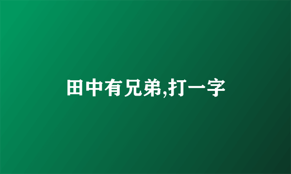 田中有兄弟,打一字