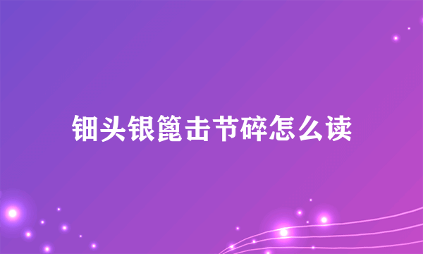 钿头银篦击节碎怎么读