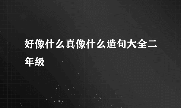 好像什么真像什么造句大全二年级
