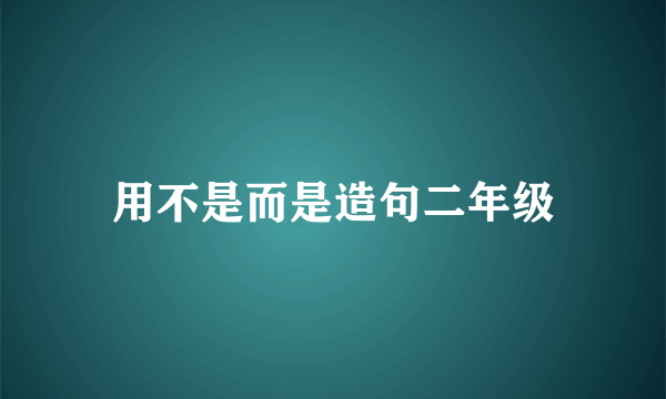 用不是而是造句二年级