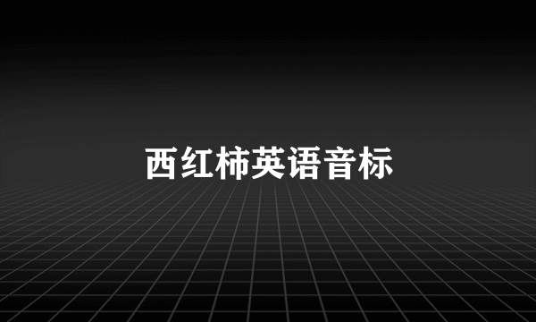 西红柿英语音标
