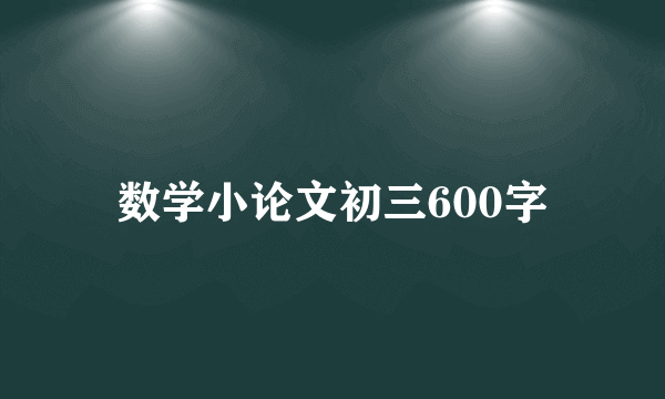 数学小论文初三600字