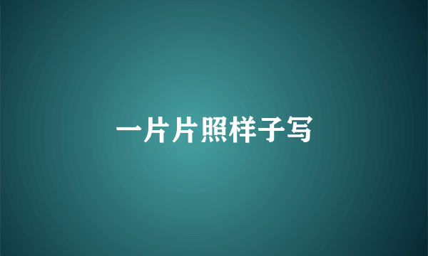 一片片照样子写