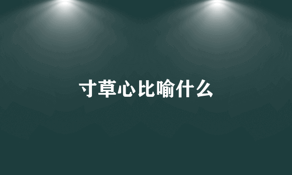 寸草心比喻什么