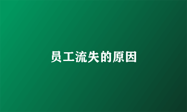 员工流失的原因