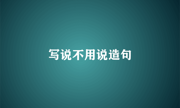 写说不用说造句