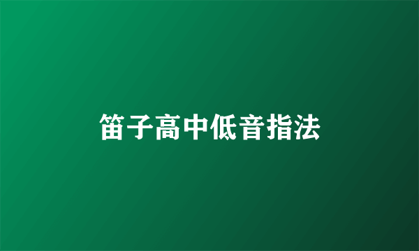 笛子高中低音指法