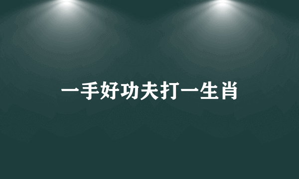一手好功夫打一生肖