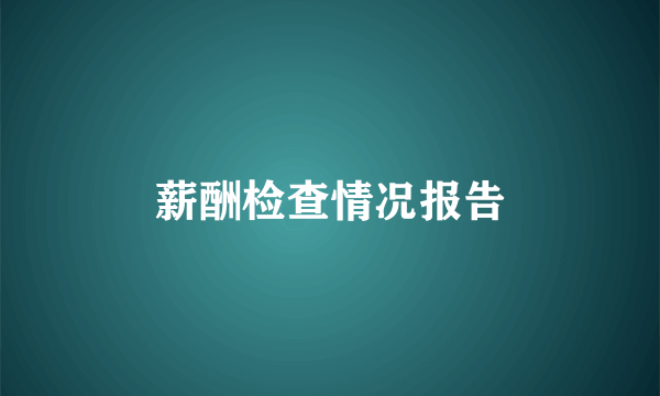薪酬检查情况报告