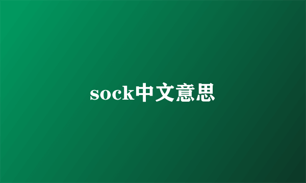 sock中文意思
