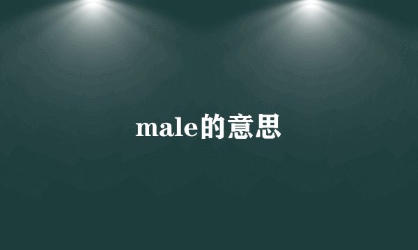 male的意思