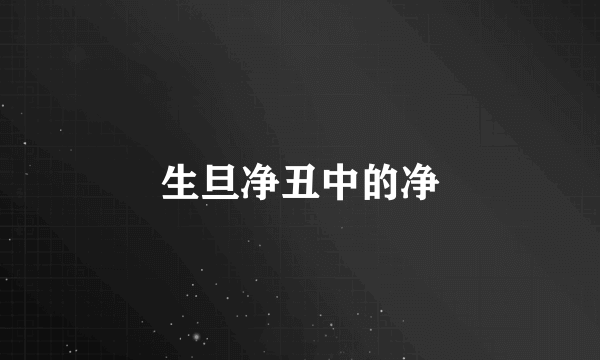 生旦净丑中的净