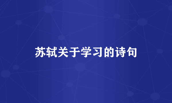 苏轼关于学习的诗句