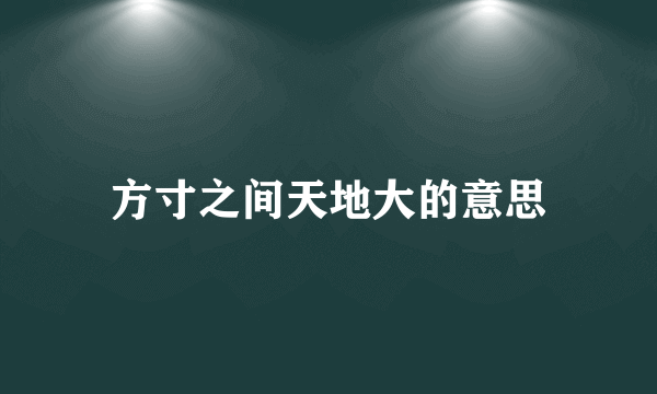 方寸之间天地大的意思