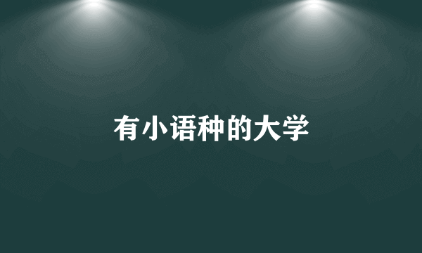 有小语种的大学