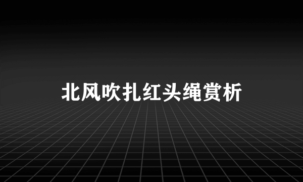 北风吹扎红头绳赏析