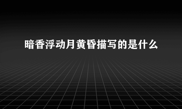 暗香浮动月黄昏描写的是什么