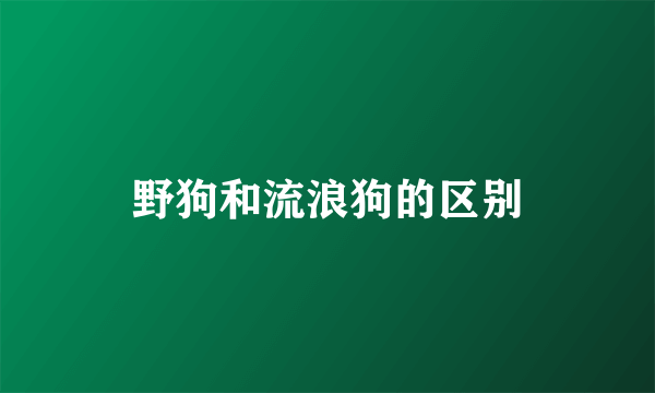 野狗和流浪狗的区别