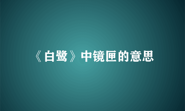 《白鹭》中镜匣的意思