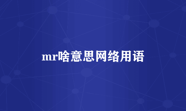 mr啥意思网络用语