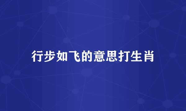 行步如飞的意思打生肖