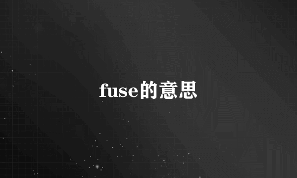fuse的意思