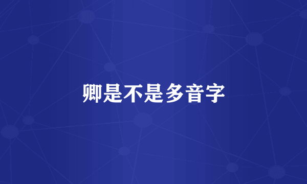 卿是不是多音字