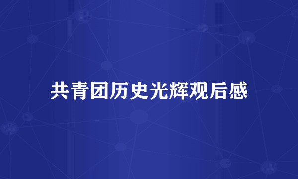 共青团历史光辉观后感