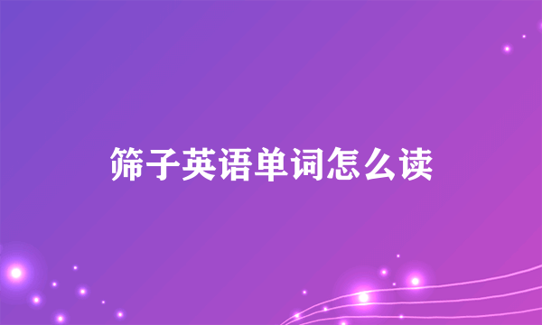 筛子英语单词怎么读
