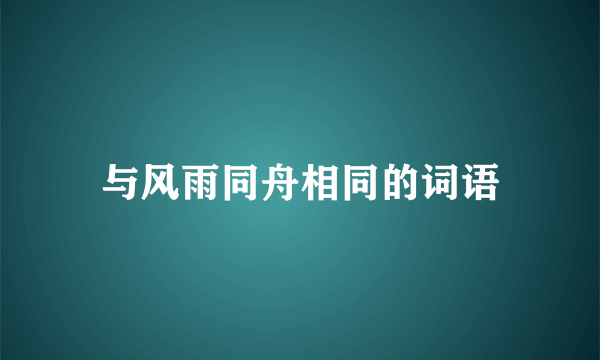 与风雨同舟相同的词语