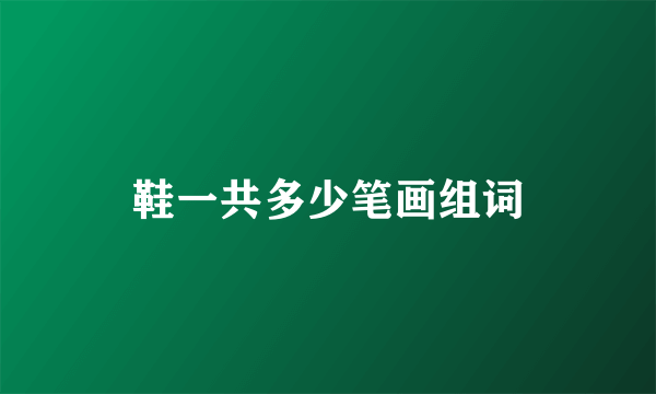 鞋一共多少笔画组词