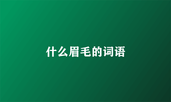 什么眉毛的词语