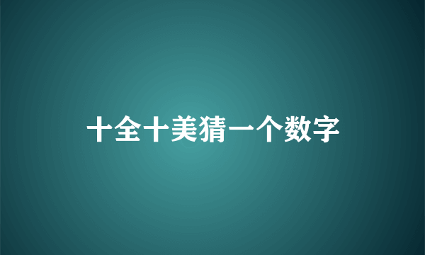 十全十美猜一个数字